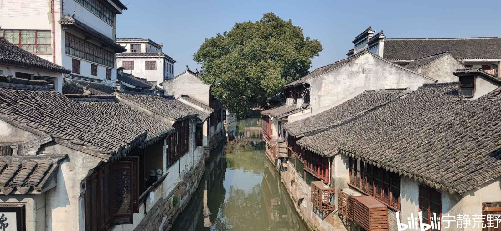春雨直播app
